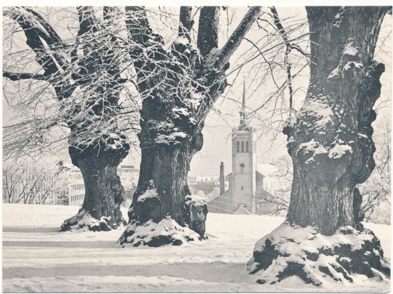 Fotopostkaart. Tallinna vaade -Harjumägi ja Jaani kirik, 1965, Foto: E. Saar