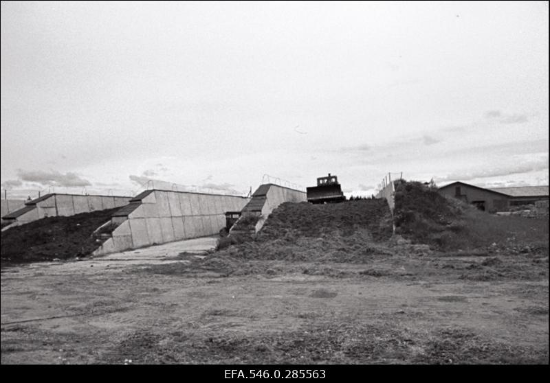 Silo tegemine Riisipere sovhoosis.