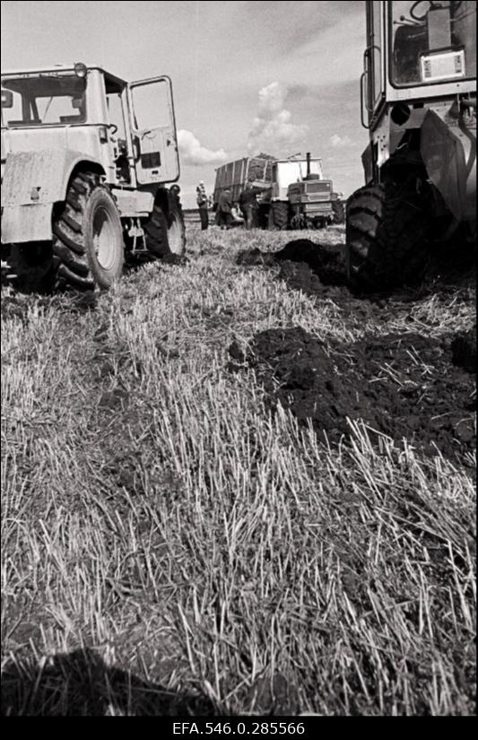 Silo tegemine Riisipere sovhoosis.