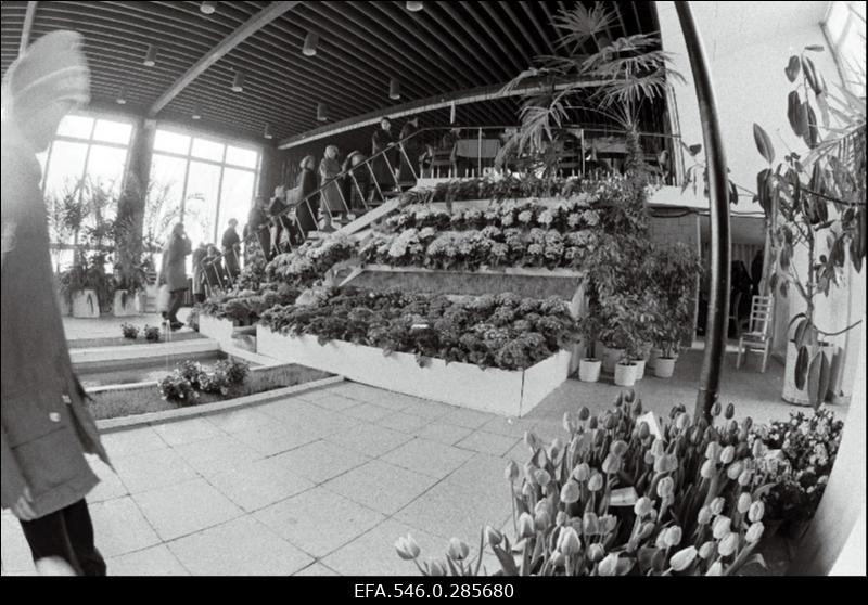 Lillenäitus Tallinna lillepaviljonis