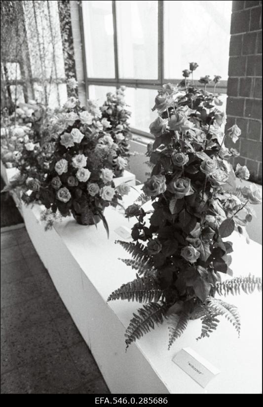 Lillenäitus Tallinna lillepaviljonis