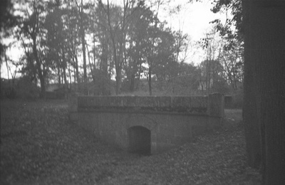 Kivisild Arkna mõisa pargis  duplicate photo