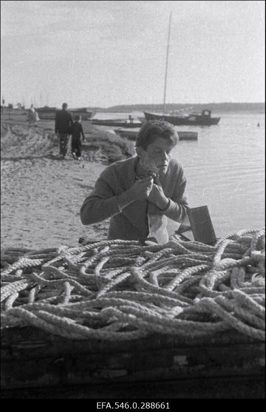 Kalur köiehunnikuga.