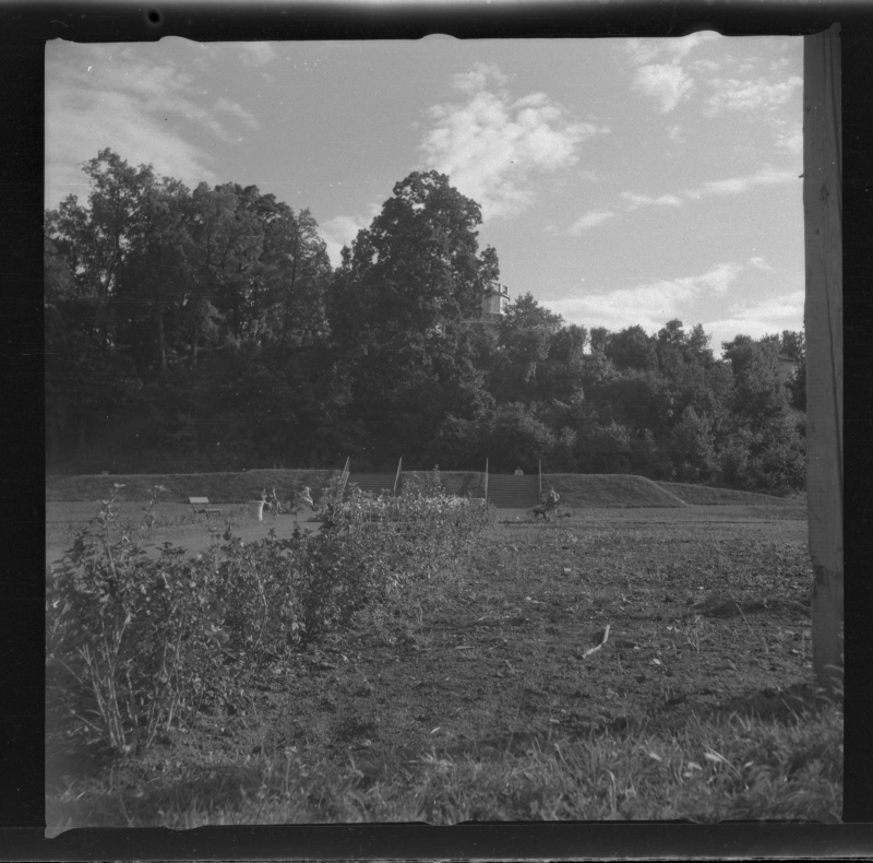 Park Tartus Toomemäe nõlval