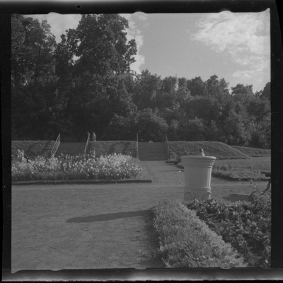 Park Tartus Toomemäe nõlval  similar photo