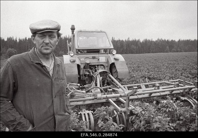 Sügistööd Kingissepa-nimelises kolhoosis