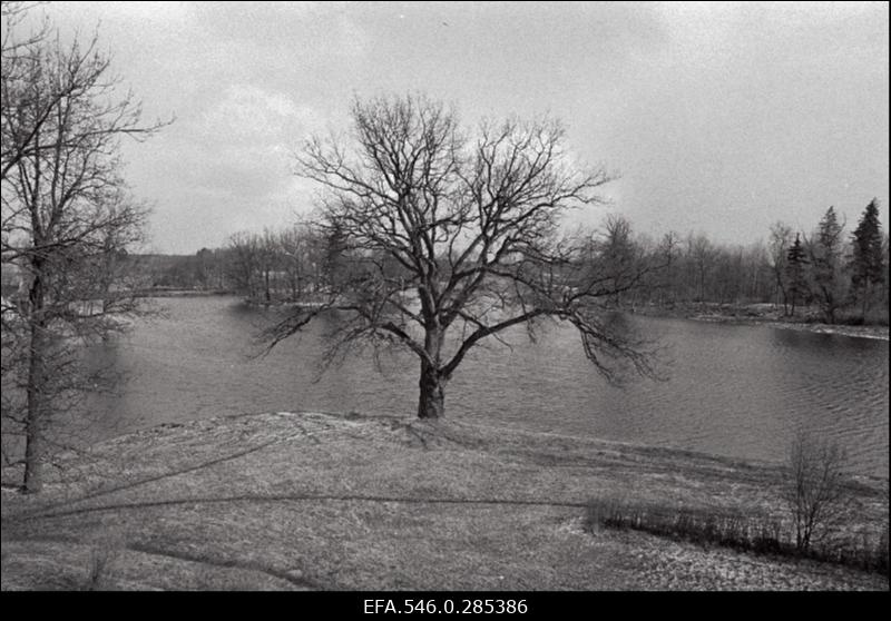 Kunstipäev Koluvere lossis.