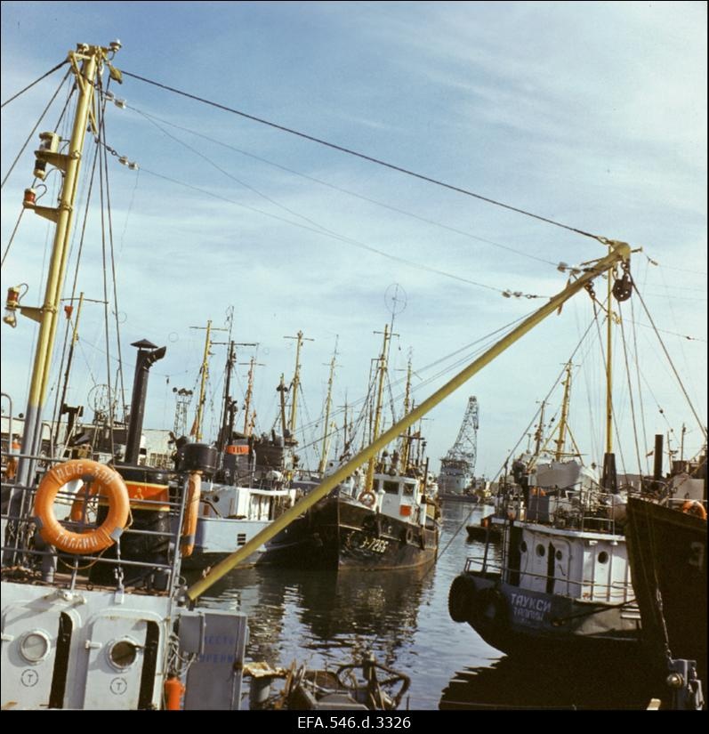 Tallinna kalasadam.