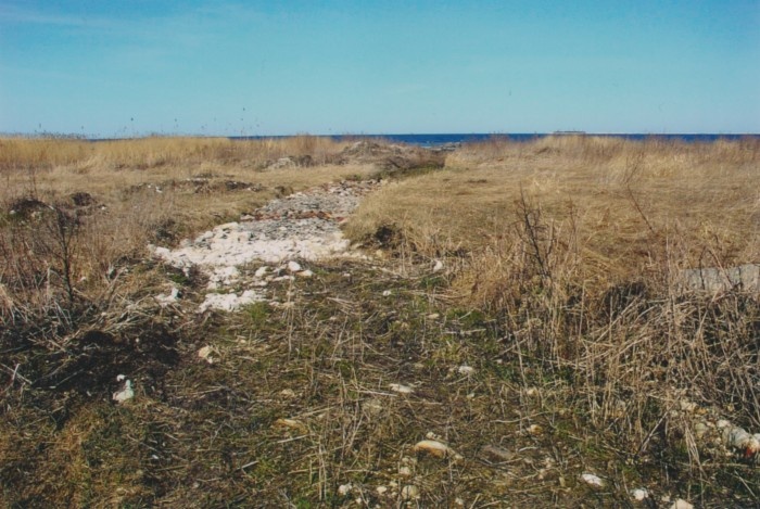 Foto. Hausma lautrikoht, vaade teele.