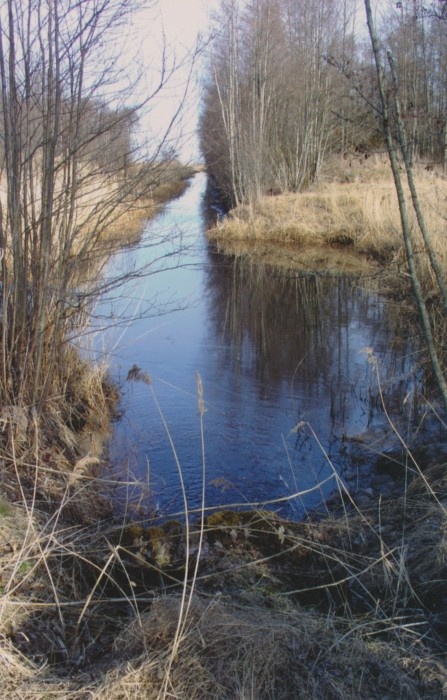 Foto. Kajaka kanal. Vaade kanalile.