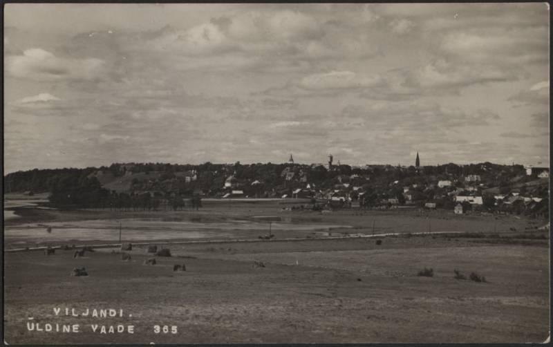 fotopostkaart, Viljandi, linn, järv, Tartu mnt, u 1925, foto J. Riet