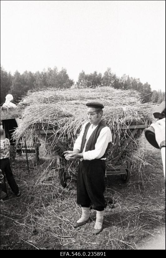 Lõikuspüha. Mees ja vana põllutöömasin.