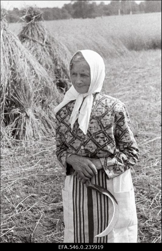 Lõikuspäev. Naine sirbiga.