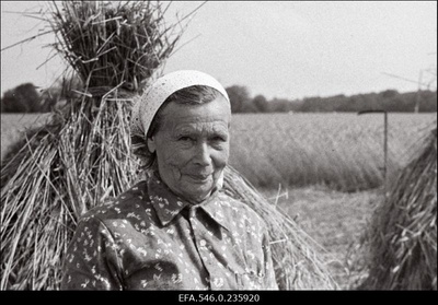 Lõikuspäev. Puhkehetk viljarõugu najal.  similar photo