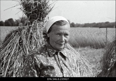 Lõikuspäev. Puhkehetk viljarõugu najal.  similar photo
