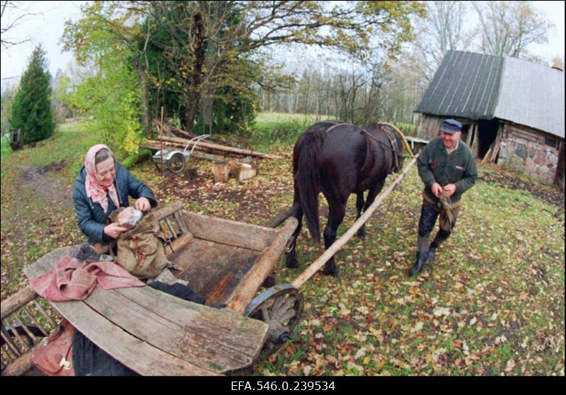 Lilli küla Karksi vallas.