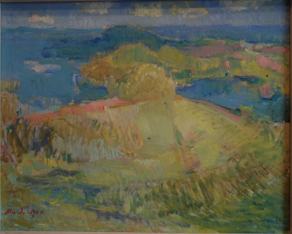 Järveäärne maastik