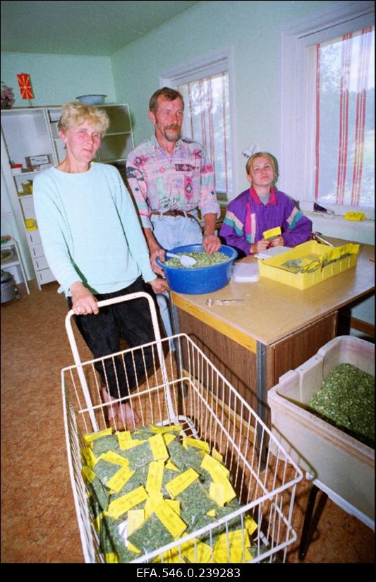 [Maitse]taimekasvatustalu.