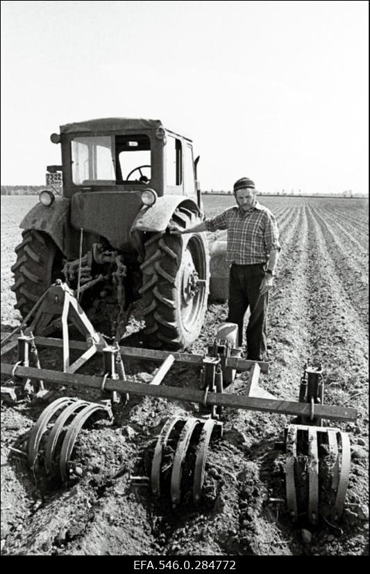 Viru kolhoos, väetamine.