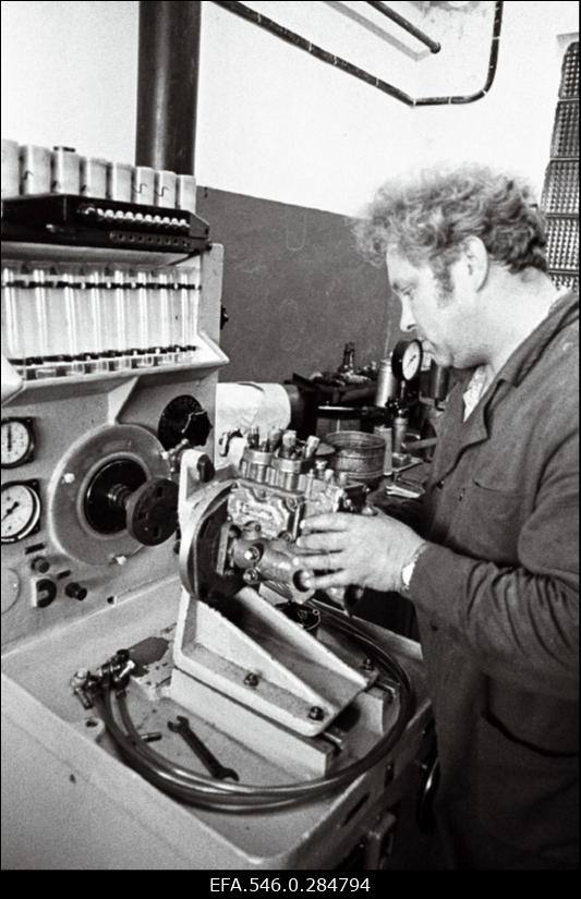 Viljandi Näidissovhoos