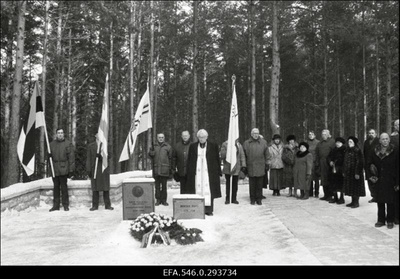 Vabariigi aastapäeva tähistamine.  duplicate photo