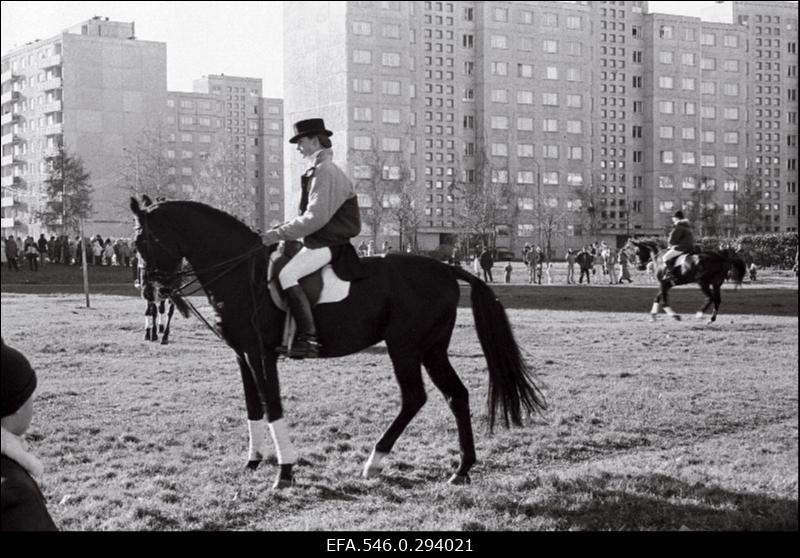 Õismäe päev Õismäe linnaosas.