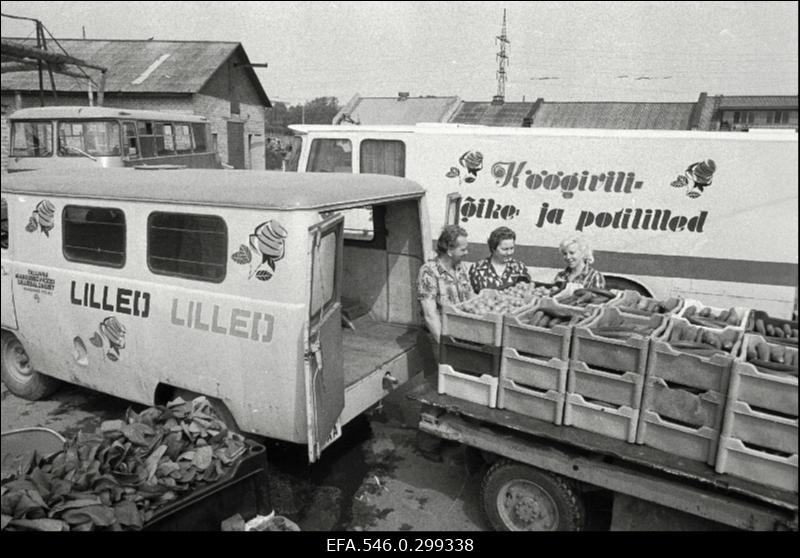 Tallinna Aiandussovhoos.