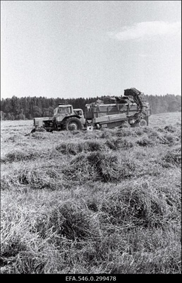 Väike-Maarja  similar photo