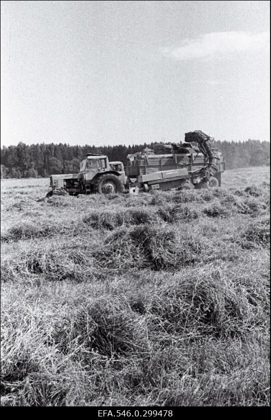 Väike-Maarja