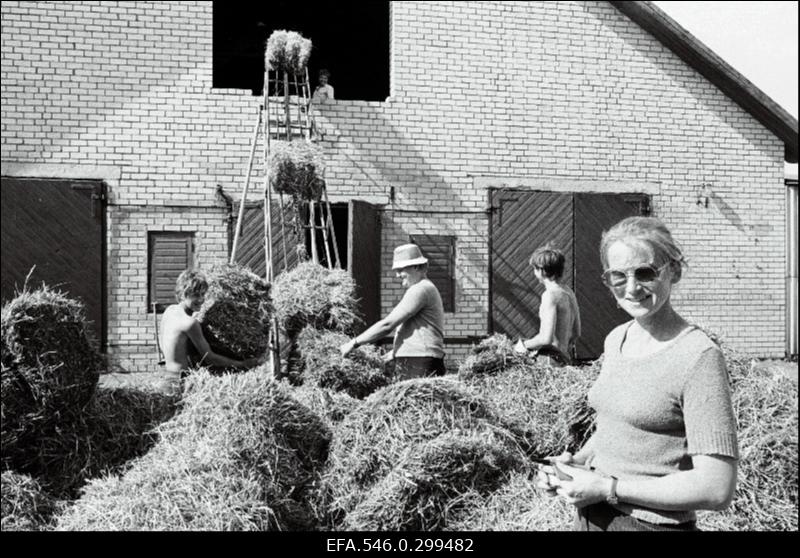 Väike-Maarja
