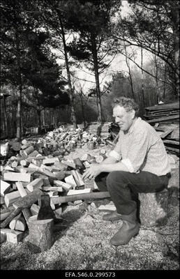 Saaremaa  similar photo