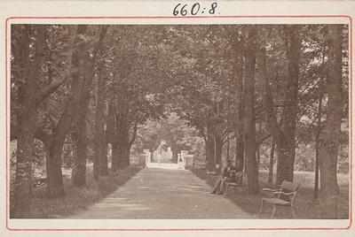 Vaade Toome poolt Inglisillale (suur allee)  duplicate photo