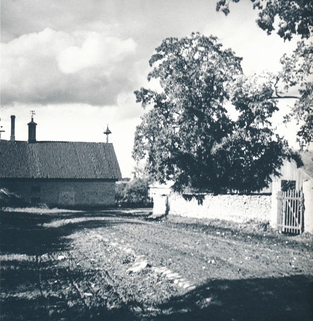 Vao mõisa majandusõuel