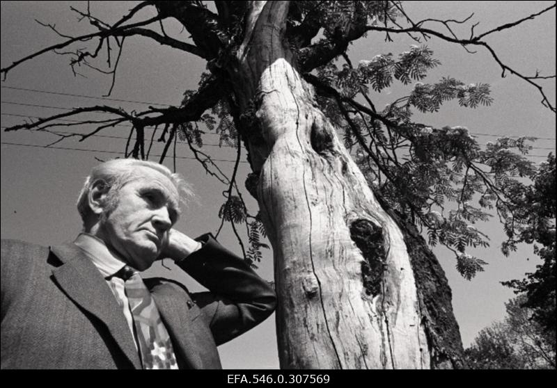 Johannes Adolf Soosaar näitab punaterroriga seotud kohti Viljandis. 1941 aastal lasti ta maha, kuid haavadest hoolimata jäi ellu .