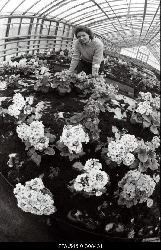 Põllumajandusnäitusel.