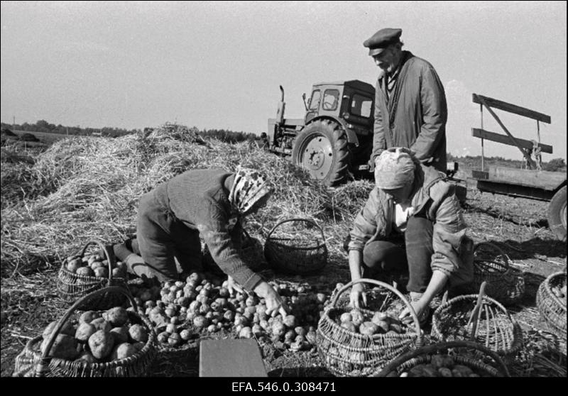 [Karuse] talupidamine.