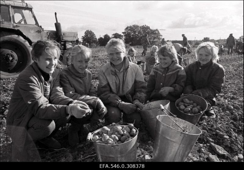 Saaremaa. Muhu