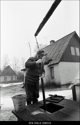 Kaiu [lasteaed]. Arro.  similar photo