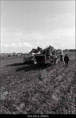 Harju Koidula Kungla.  similar photo