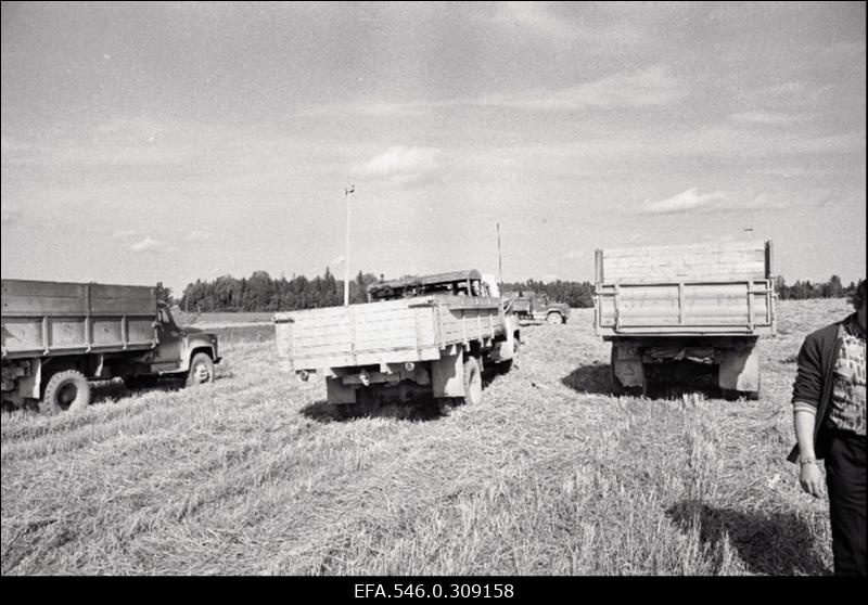 Kolhoosi Rahva hääle sügistööd.