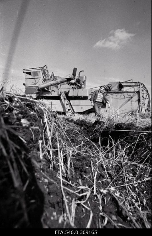 Kolhoosi Rahva hääle sügistööd.