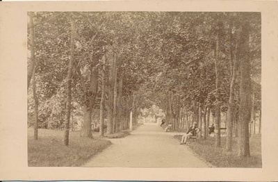 Toomemägi: allee, taga Inglisild. Tartu, 1880-1890.  duplicate photo