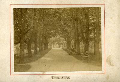 Toomemägi: allee, taga Inglisild.  Tartu, 1890-1900.  duplicate photo