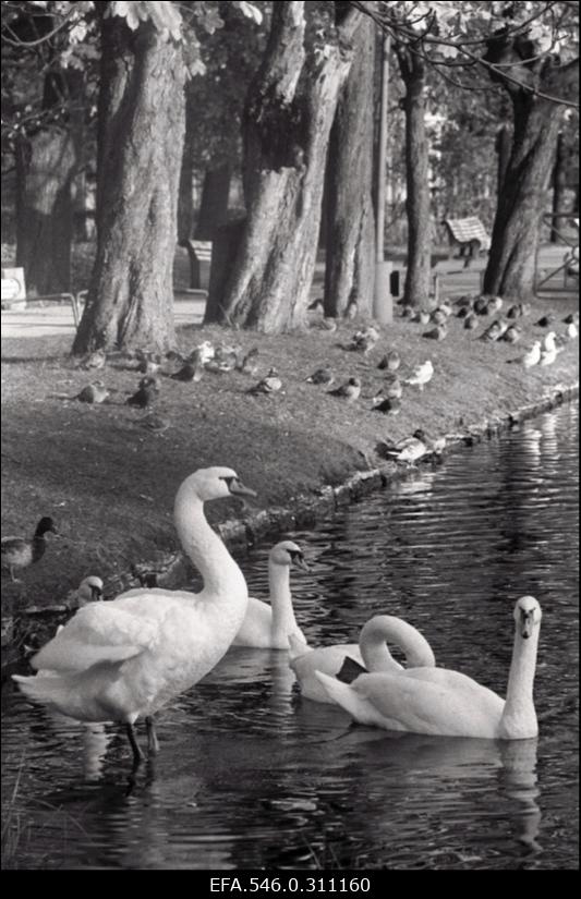 Kadriorg.