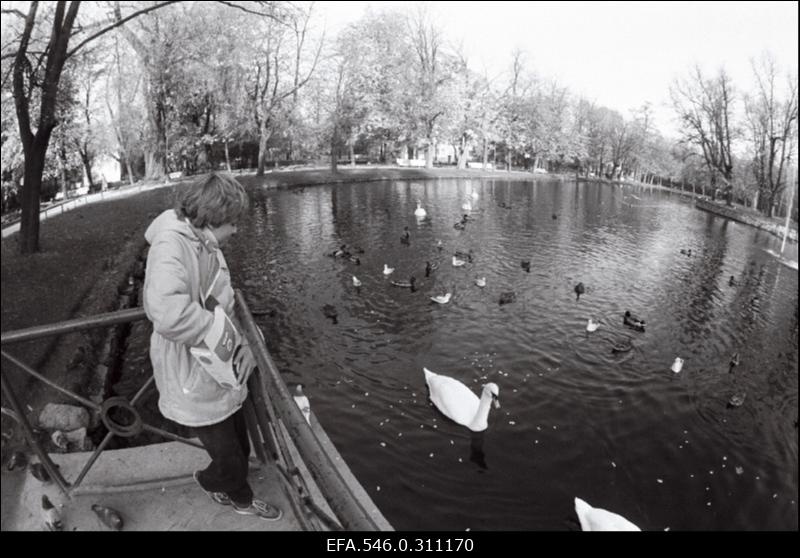 Kadriorg.