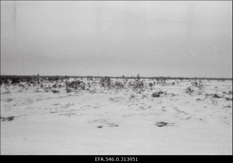 Komsomoli löökehitusel Siberis Pimi asulas töötavad mehed Eestist, et rajada autoteid naftaväljade teenindamiseks.