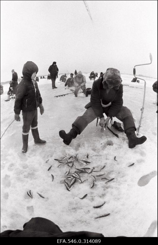Talvine kalapüügivõistlus - jääalune püük sikutiga.