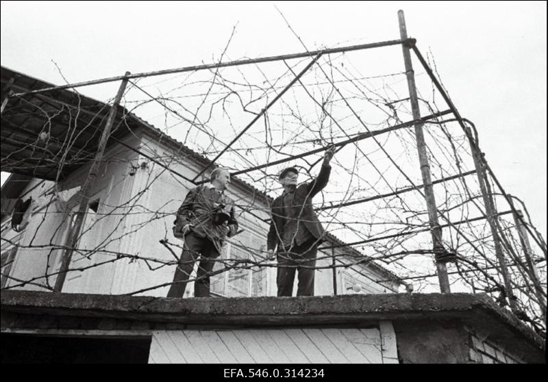 Eesti juurtega Salme ja Sulevi küla elanikud Abhaasias.