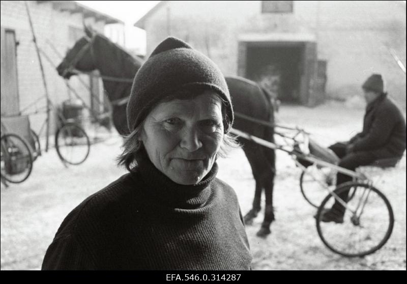 Töö Tallinna Hipodroomi hobustega. (H.Leppikson "Tallimees".)