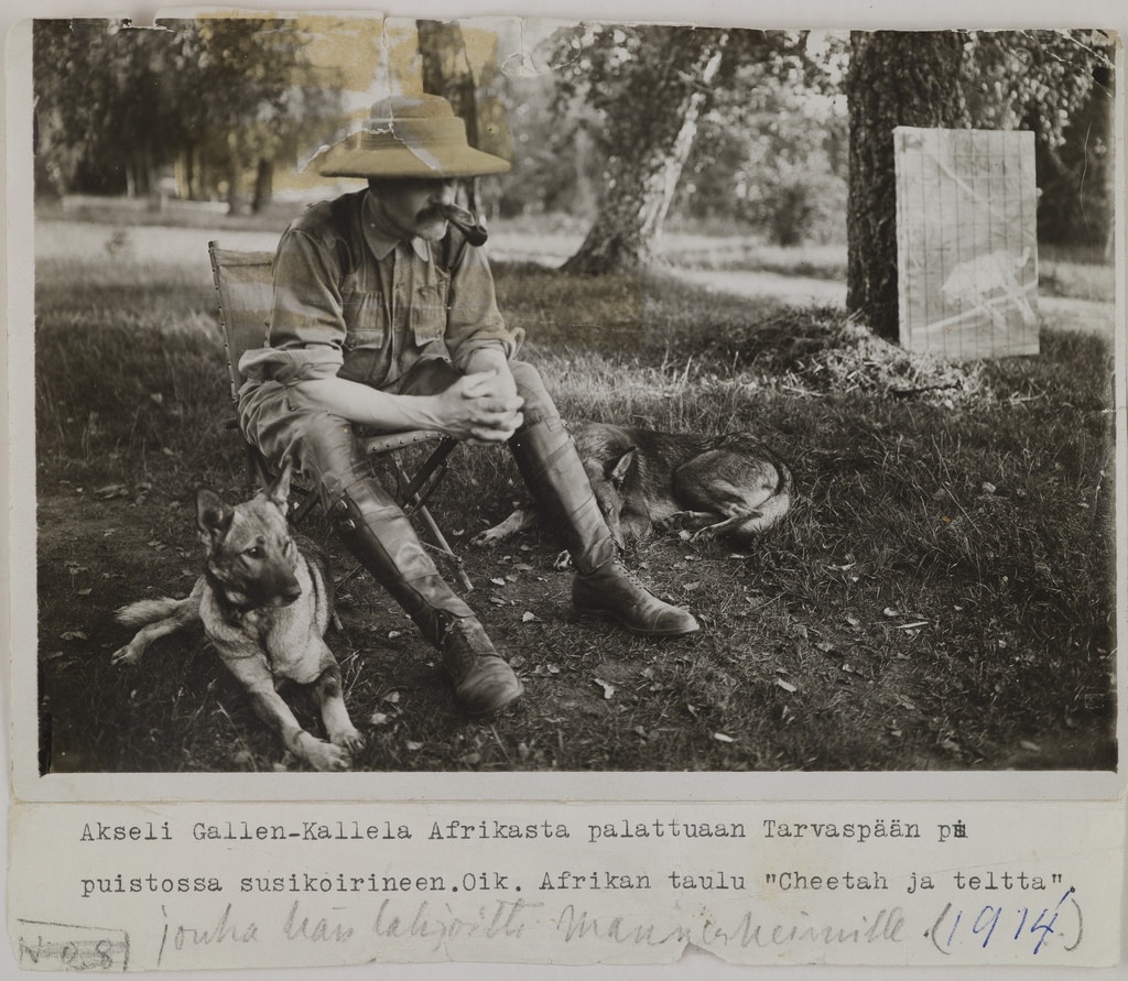 Akseli Gallen-Kallela, after coming home from Africa, in Tarvaspää garden with his dogs and the painting Cheetah, 1914.